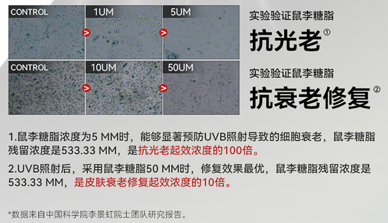 WPS图片 WPS图片