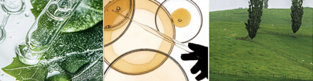 WX20260903-101801@2x.png WX20260903-101801@2x.png